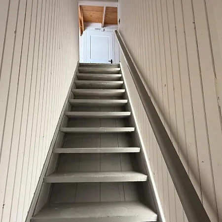 Swan Paradise Gasthof Nafplio