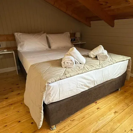 Gasthof Swan Paradise