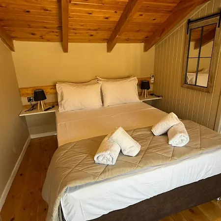 Gasthof Swan Paradise