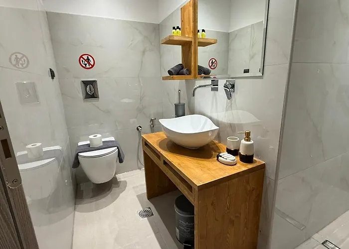 Swan Paradise 宾馆 *