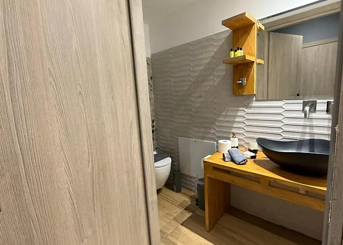 Swan Paradise 宾馆