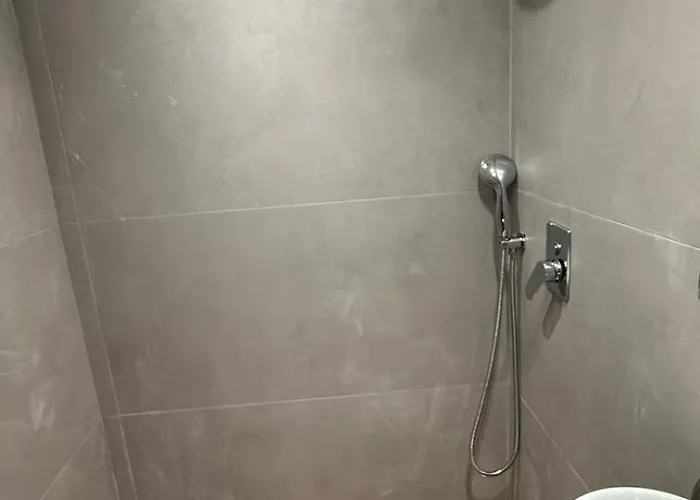 宾馆 Swan Paradise *