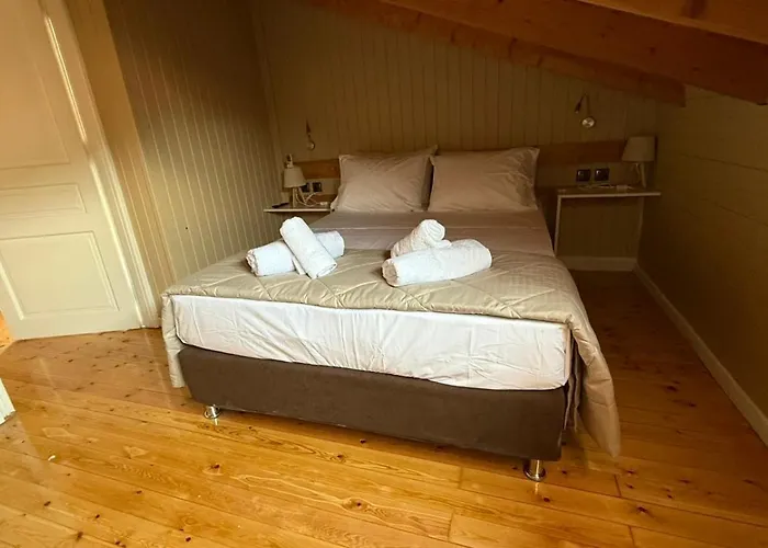 Swan Paradise 宾馆 *