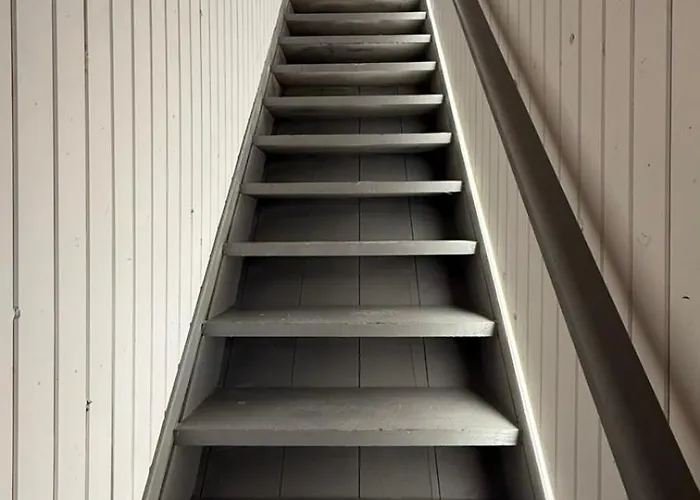 Swan Paradise * 纳夫普利翁