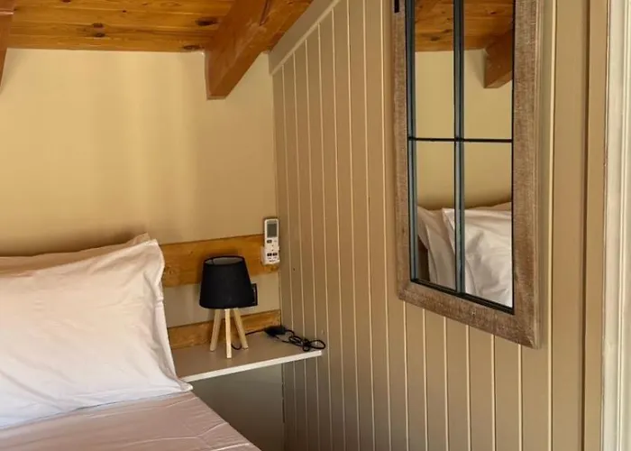 Swan Paradise 纳夫普利翁