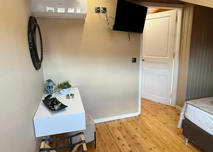 Swan Paradise 宾馆 纳夫普利翁