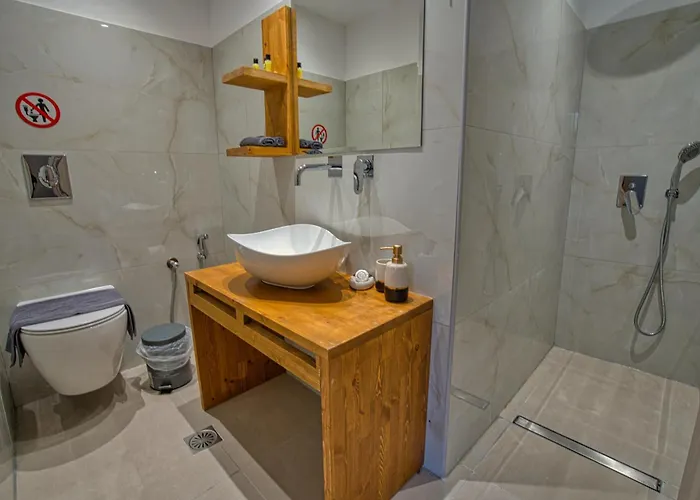 Swan Paradise 宾馆 纳夫普利翁